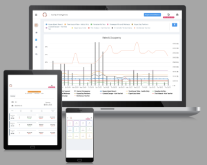Revenue management